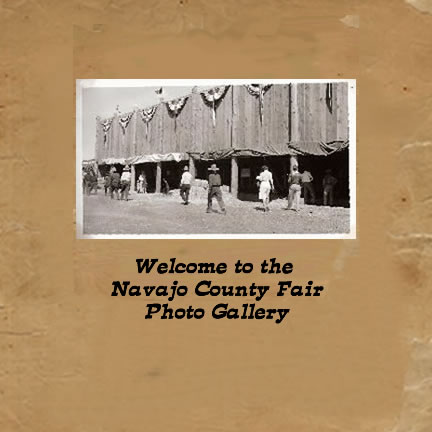 Navajo County Fair